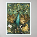 Zoek naar pauw afbeelding posters Voor haar