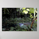 Zoek naar tropisch landschap posters Planten