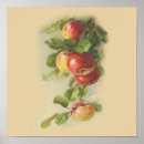 Zoek naar appelen posters Botanisch