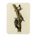 Zoek naar kraag magneten Vogel