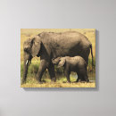Zoek naar afrikaanse olifant kunst Kalf