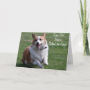 Zoek naar corgi hond kaarten Dieren
