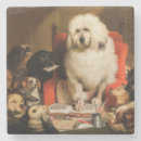 Zoek naar honden onderzetters Dieren