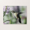 Zoek naar hummingbird puzzels Wild