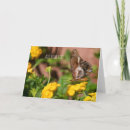 Zoek naar vliegende vlinder kaarten Elk persoon