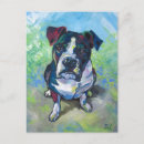Zoek naar pitbull briefkaarten Schattige hond