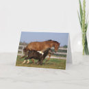 Zoek naar shetland pony kaarten Bob langrish