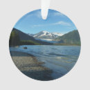 Zoek naar juneau ornamenten Alaska