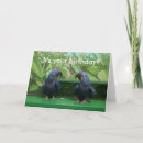Zoek naar hyacinth briefkaarten Macaw