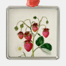 Zoek naar gegraveerd ornamenten Private