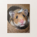 Zoek naar hamster puzzels Knaagdier