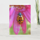 Zoek naar kever verjaardagskaarten Ladybird