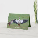 Zoek naar ganzen kaarten Grappig