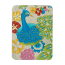 Zoek naar pauw magneten Kleurrijk