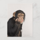 Zoek naar aap gezicht briefkaarten Close up