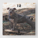 Zoek naar skateboard klokken Voor iedereen