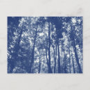 Zoek naar cyanotype briefkaarten Natuur
