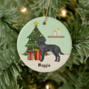 Zoek naar zwart labrador ornamenten Feestelijk