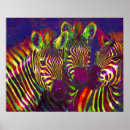 Zoek naar regenboog zebra posters Zebras