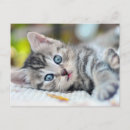 Zoek naar ogen briefkaarten Schattig