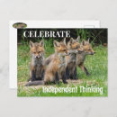 Zoek naar foxes briefkaarten Natuur