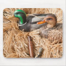 Zoek naar duck muismatten Mallard