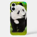 Zoek naar kawaii panda iphone hoesjes Beer