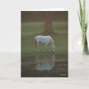 Zoek naar bob kaarten Reflectie