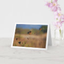 Zoek naar stervende kaarten Elk persoon