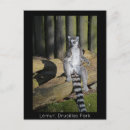 Zoek naar leefruimte posters Dieren