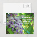 Zoek naar wisteria briefkaarten Fotografie