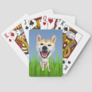 Zoek naar shiba inu speelkaarten Voor iedereen