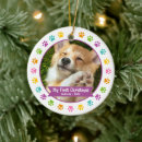 Zoek naar pet ornamenten Foto