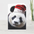 Zoek naar de panda draagt kaarten Kerstmis