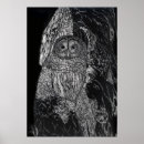 Zoek naar zwarte witte uil posters Wild
