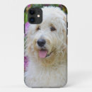 Zoek naar labradoodle iphone hoesjes Hond