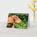 Zoek naar pool verjaardagskaarten Voor hem