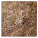 Zoek naar pheasant tegels Natuur