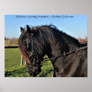 Zoek naar paard minnaar posters Vakantie