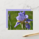 Zoek naar nog fotografie briefkaarten Voor haar