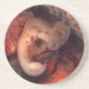 Zoek naar zwangerschap onderzetters Baby