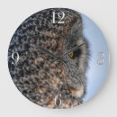 Zoek naar portret klokken Vogels