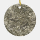 Zoek naar fossiel ornamenten Archeologie