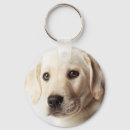 Zoek naar gouden labrador sleutelhangers Schattig