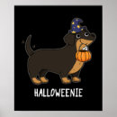 Zoek naar worst hond posters Dachshond