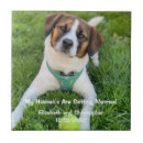 Zoek naar verloving tegels Voor iedereen