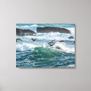 Zoek naar pelikanen posters Bruin