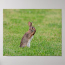 Zoek naar easter kunst Bruin