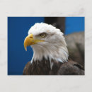 Zoek naar thee briefkaarten Vlag