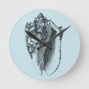 Zoek naar shell klokken Kust